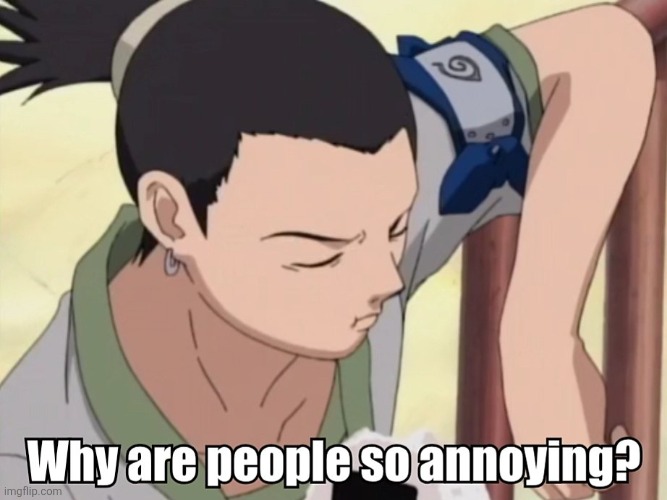 IRDK, Shikamaru. | image tagged in memes,shikamaru,naruto,anime,people,annoying | made w/ Imgflip meme maker