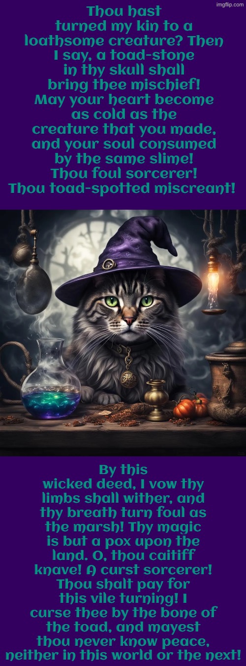 A Curst Sorcerer | Thou hast turned my kin to a loathsome creature? Then I say, a toad-stone in thy skull shall bring thee mischief! May your heart become as cold as the creature that you made, and your soul consumed by the same slime! Thou foul sorcerer! Thou toad-spotted miscreant! By this wicked deed, I vow thy limbs shall wither, and thy breath turn foul as the marsh! Thy magic is but a pox upon the land. O, thou caitiff knave! A curst sorcerer! Thou shalt pay for this vile turning! I curse thee by the bone of the toad, and mayest thou never know peace, neither in this world or the next! | image tagged in cats,medieval memes,cursed,witch,wizard,insults | made w/ Imgflip meme maker