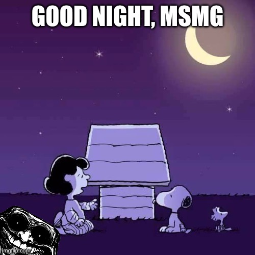 Good night  | Good night, Msmg | image tagged in good night | made w/ Imgflip meme maker