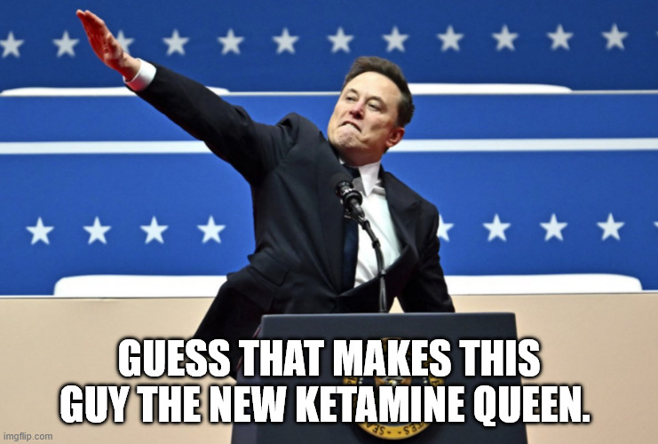 Guess that makes this guy the new ketamine queen. | image tagged in nazi elon | made w/ Imgflip meme maker