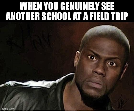 Most intense stare downs pt. 1 | When you genuinely see another school at a field trip | image tagged in memes,kevin hart | made w/ Imgflip meme maker