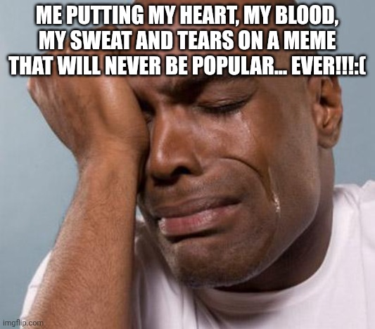 black man crying | Me putting my heart, my blood, my sweat and tears on a meme that will never be popular... EVER!!!:( | image tagged in black man crying | made w/ Imgflip meme maker