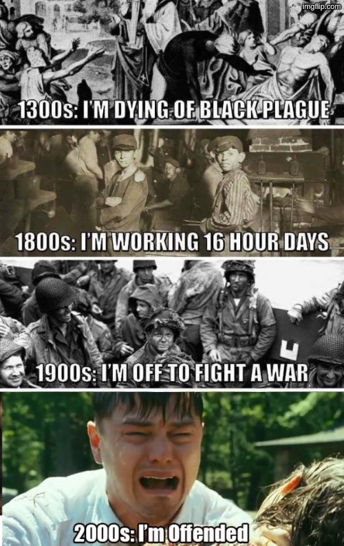 Yeah this looks about right | image tagged in liberal privilege,libtards,liberal hypocrisy,liberal logic,words that offend liberals,crybabies | made w/ Imgflip meme maker