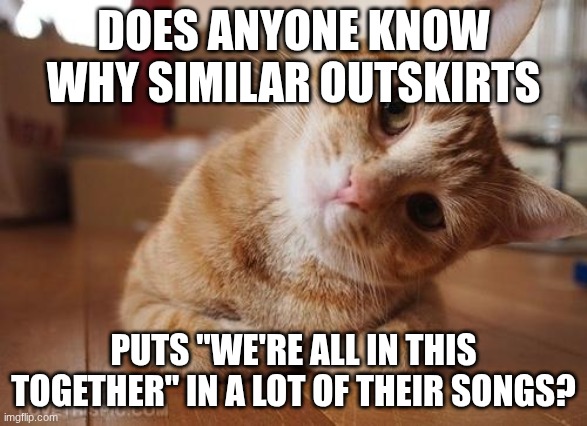 Curious Question Cat | Does anyone know why similar outskirts; puts "We're all in this together" in a lot of their songs? | image tagged in curious question cat | made w/ Imgflip meme maker