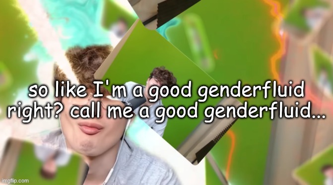 HWAK TUHA | so like I'm a good genderfluid right? call me a good genderfluid... | image tagged in hwak tuha | made w/ Imgflip meme maker