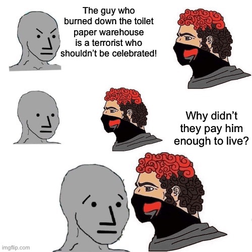 We aren’t paid enough to live. | The guy who burned down the toilet paper warehouse is a terrorist who shouldn’t be celebrated! Why didn’t they pay him enough to live? | image tagged in capitalism,minimum wage,revolution | made w/ Imgflip meme maker