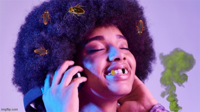 Let the music take ya! | image tagged in culture,music,bugs | made w/ Imgflip meme maker