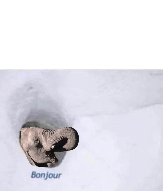 bonjour elephant Blank Meme Template