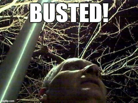 Shady dealings | BUSTED! | image tagged in montagraph,totally busted | made w/ Imgflip meme maker