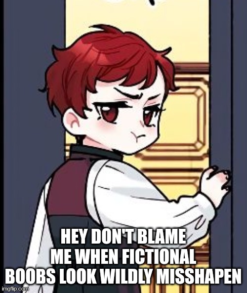 Hey don't blame me when fictional boobs look wildly misshapen | image tagged in grumpy boi | made w/ Imgflip meme maker