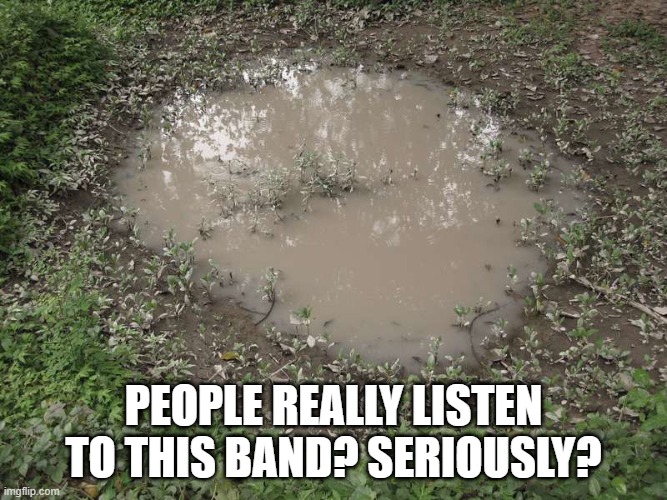 They suck.. | people really listen to this band? seriously? | image tagged in bad music | made w/ Imgflip meme maker