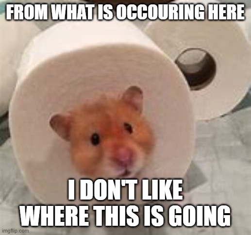 Hampster Toilet Roll | From what is occouring here; i don't like where this is going | image tagged in relatable | made w/ Imgflip meme maker