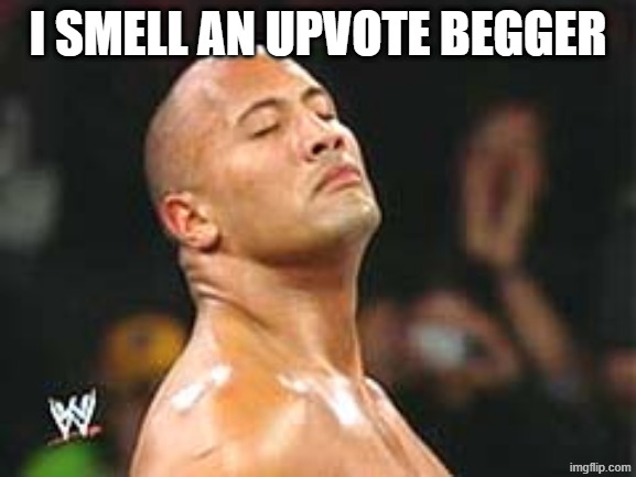 The Rock Smelling | i smell an upvote begger | image tagged in the rock smelling | made w/ Imgflip meme maker