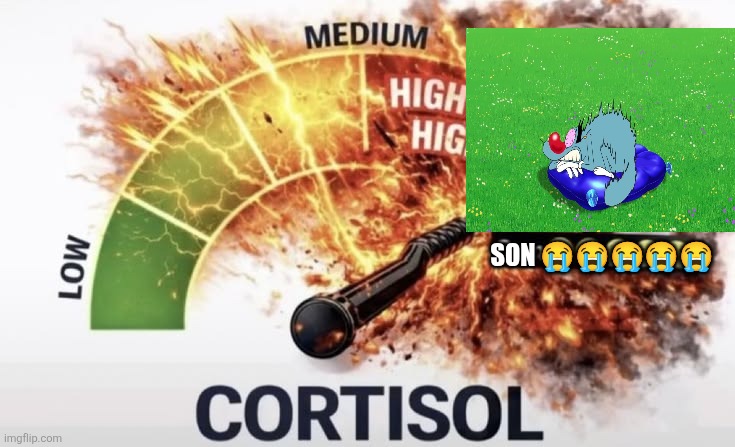 son (high cortisol) | Son ????? | image tagged in son high cortisol | made w/ Imgflip meme maker
