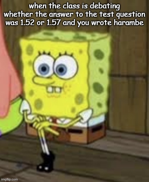 spongebob awkward | when the class is debating whether the answer to the test question was 1.52 or 1.57 and you wrote harambe | image tagged in awkward | made w/ Imgflip meme maker