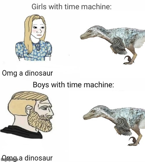 Time machine | Omg a dinosaur; Omg a dinosaur | image tagged in time machine,velociraptor,dinosaur,girls vs boys | made w/ Imgflip meme maker