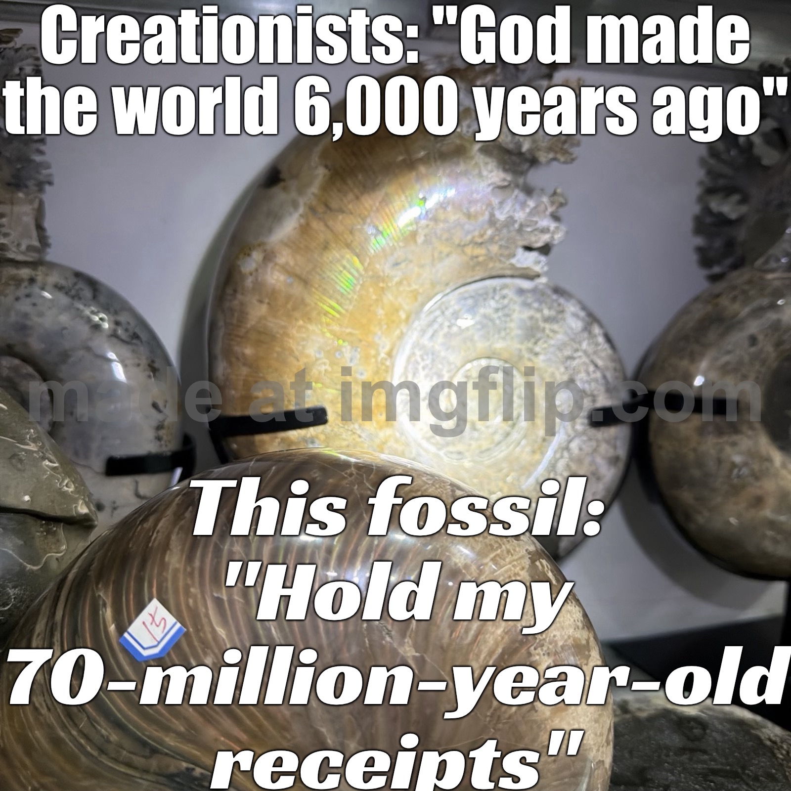 Creationists: “God made everything exactly as-is.”; This fossil: “I’ve been here for millions of years, my guy.” | Creationists: "God made the world 6,000 years ago"; This fossil: "Hold my 70-million-year-old receipts" | image tagged in natural rainbow ammonite fossil olecranon conch crystal,history,anti-religion,creationism,evolution,crystal | made w/ Imgflip meme maker