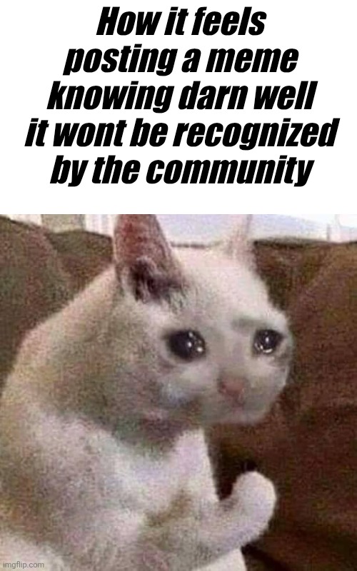 Yep | How it feels posting a meme knowing darn well it wont be recognized by the community | image tagged in sad but proud cat | made w/ Imgflip meme maker