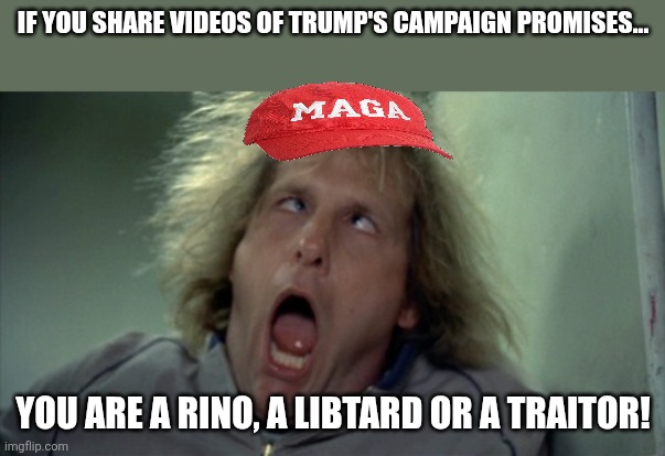 Rinos and libtards | If you share videos of Trump's campaign promises... You are a rino, a libtard or a traitor! | image tagged in donald trump,trump,maga,iran,trump supporter,nevertrump | made w/ Imgflip meme maker