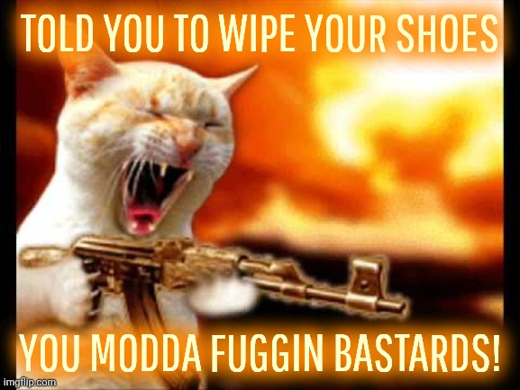 cat with gun | Told you to wipe your shoes; You modda fuggin bastards! | image tagged in cat with gun | made w/ Imgflip meme maker