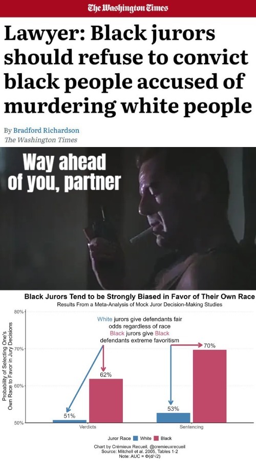 Tribalism. They needed another story for voter control. Like "Racist judiciary system" - got dismantled long ago... by a black s | image tagged in identity politics,black people,die hard,politics,racism | made w/ Imgflip meme maker