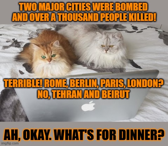 This #lolcat wonders why hoo-mens value some lives more than others | Two major cities were bombed 
and over a thousand people killed! Terrible! Rome, Berlin, Paris, London?

No, Tehran and Beirut; Ah, okay. What's for dinner? | image tagged in all lives matter,lolcat,war,middle east | made w/ Imgflip meme maker