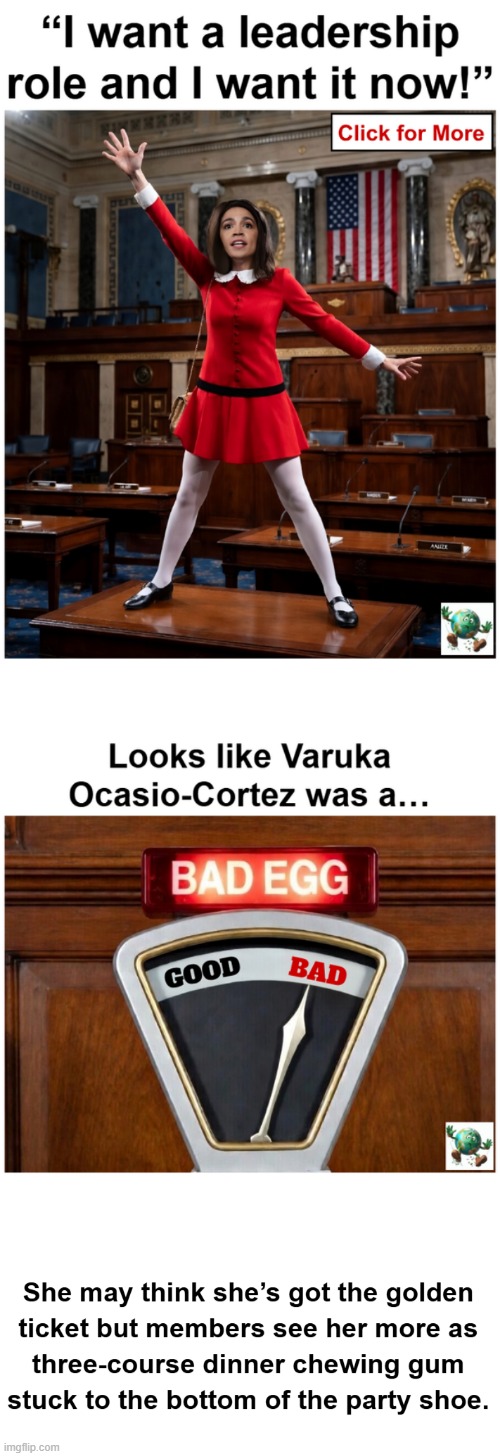 Why was AOC voted off the Oversight Committee? Were Democrats too afraid of her? | image tagged in maga,conservative,aoc | made w/ Imgflip meme maker