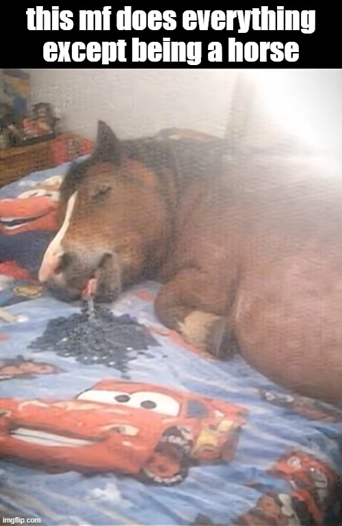 what tf is bro dreaming about | this mf does everything except being a horse | image tagged in horse | made w/ Imgflip meme maker