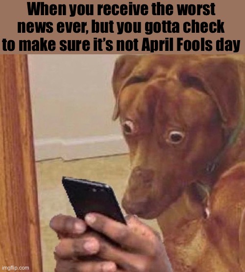 April Fools day is so confusing | When you receive the worst news ever, but you gotta check to make sure it’s not April Fools day | image tagged in shocked dog,april fools day | made w/ Imgflip meme maker