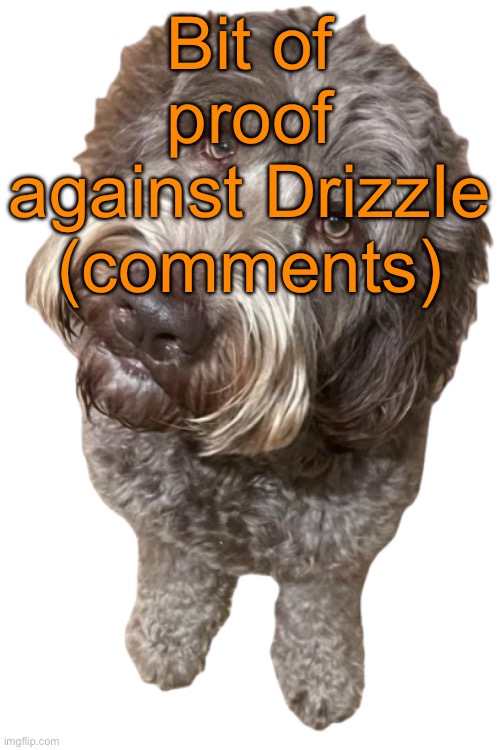 If ts gets disapproved then a certain someone is undeniably a hypocrite | Bit of proof against DrizzIe (comments) | image tagged in northers dog transparent | made w/ Imgflip meme maker