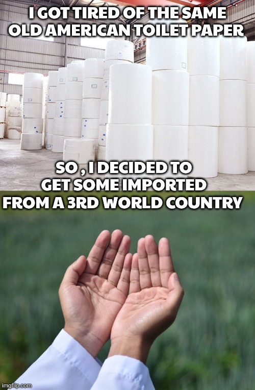 Toilet paper memes | I got tired of the same old american toilet paper; So , I decided to get some imported from a 3rd world country | image tagged in toilet paper | made w/ Imgflip meme maker