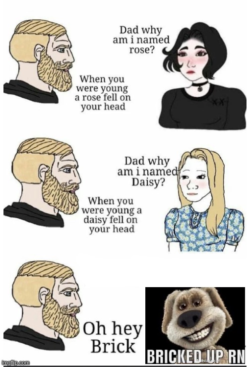 oh hey brick | image tagged in oh hey brick | made w/ Imgflip meme maker