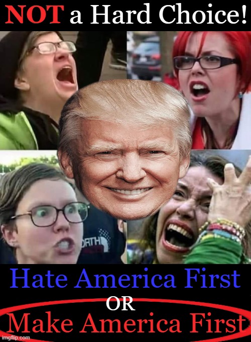 Liberalism is a Mental Disorder OR We Would All Be For America. | NOT a Hard Choice! NOT; Hate America First; or; Make America First | image tagged in donald trump,sjws,america,liberalism,choices,love hate | made w/ Imgflip meme maker