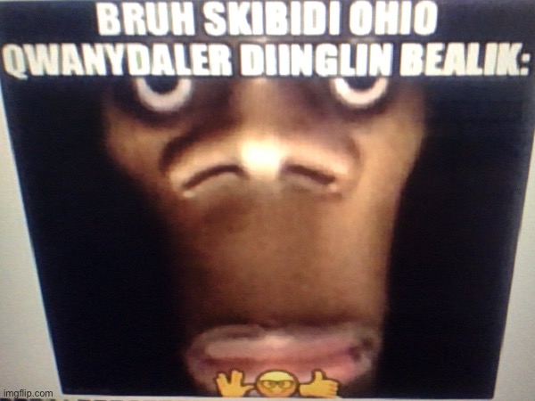 Nonsense Quandale Dingle meme. | image tagged in quandale dingle,skibidi,skibidi toilet,ohio,be like,only in ohio | made w/ Imgflip meme maker