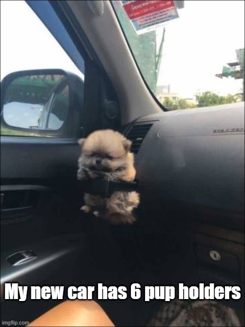 Pup Holders | My new car has 6 pup holders | image tagged in puppy,cute,cars,need more | made w/ Imgflip meme maker