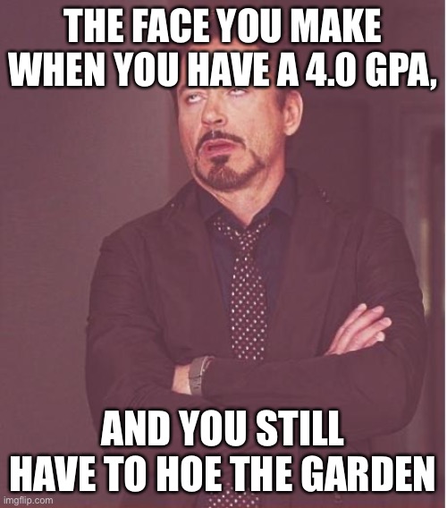 Face You Make Robert Downey Jr | The face you make when you have a 4.0 gpa, And you still have to hoe the garden | image tagged in memes,face you make robert downey jr | made w/ Imgflip meme maker