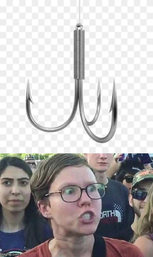 image tagged in fish hook,triggered liberal | made w/ Imgflip meme maker