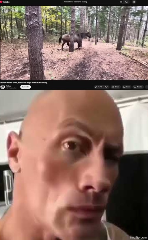 Ayo | image tagged in ayo that s kinda sus ngl,horse,tree,dog | made w/ Imgflip meme maker