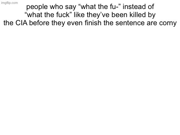 people who say “what the fu-” instead of “what the fuck” like they’ve been killed by the CIA before they even finish the sentence are corny | made w/ Imgflip meme maker