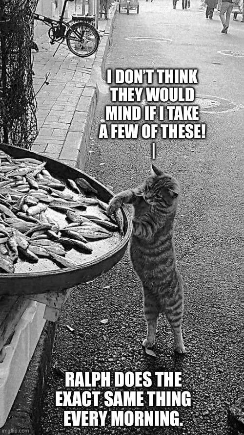 Ralph kills all of the rats and mice that come into the market, so they gladly let him have a few fish every day | I don’t think 
they would 
mind if I take 
a few of these! 
|; Ralph does the 
Exact same thing 
every morning. | image tagged in cats,fish,market,they wont mind,every day,payment | made w/ Imgflip meme maker