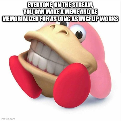 Kirby Kong | Everyone, on the stream, you can make a meme and be memorialized for as long as Imgflip works | image tagged in kirby kong | made w/ Imgflip meme maker