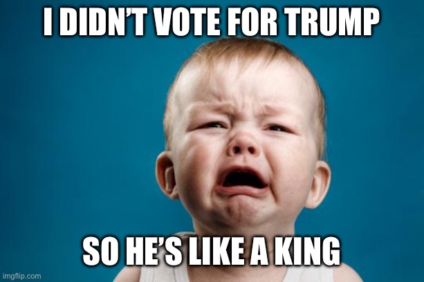 I didn’t vote for Trump So he’s like a king | image tagged in baby crying | made w/ Imgflip meme maker