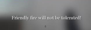 Friendly fire will not be tolerated | image tagged in friendly fire will not be tolerated | made w/ Imgflip meme maker