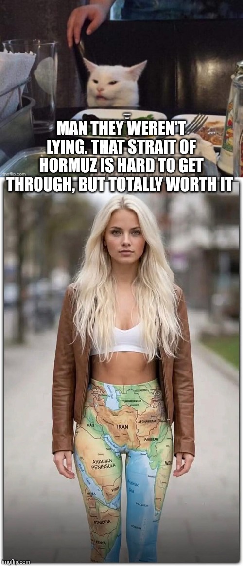 Man they weren't lying. that strait of Hormuz is hard to get through, but totally worth it | image tagged in smudge that darn cat | made w/ Imgflip meme maker