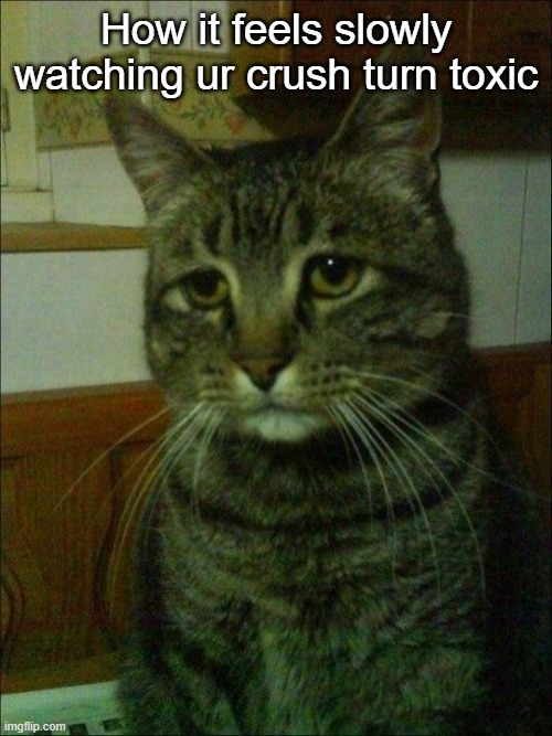 Depressed Cat Meme | How it feels slowly watching ur crush turn toxic | image tagged in memes,depressed cat,sad | made w/ Imgflip meme maker