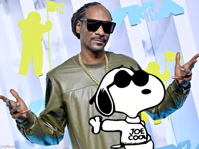 I’m starting a Snoop Dog and Snoopy thing just for fun | image tagged in snoop dogg | made w/ Imgflip meme maker