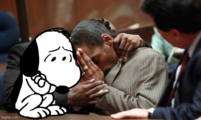 allegations snoop dog | image tagged in allegations snoop dog | made w/ Imgflip meme maker