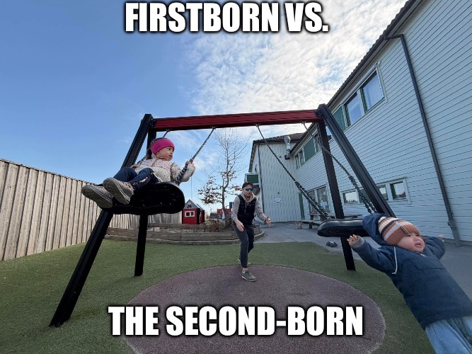Firstborn vs. second-born | Firstborn vs. The second-born | image tagged in bad parenting,children,humor,parenthood | made w/ Imgflip meme maker