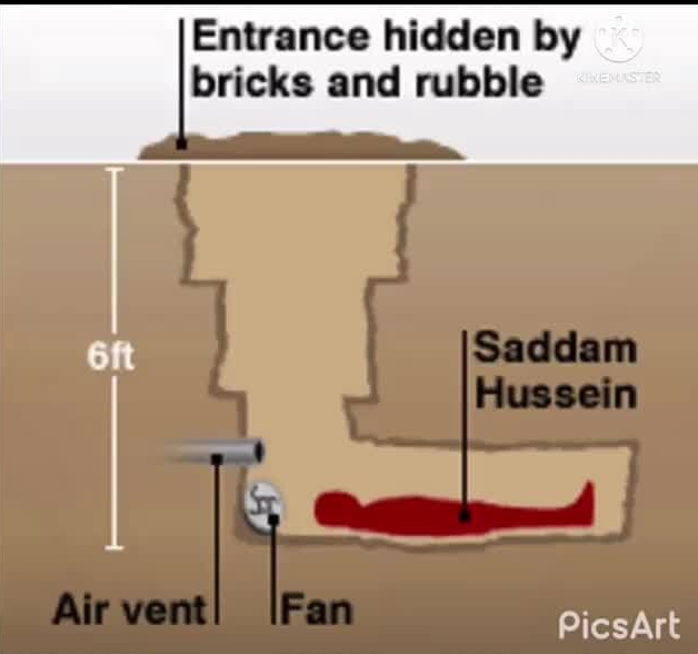 saddam hussin hiding place Blank Meme Template