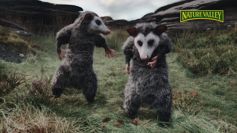 Nature Valley Opossums Blank Meme Template